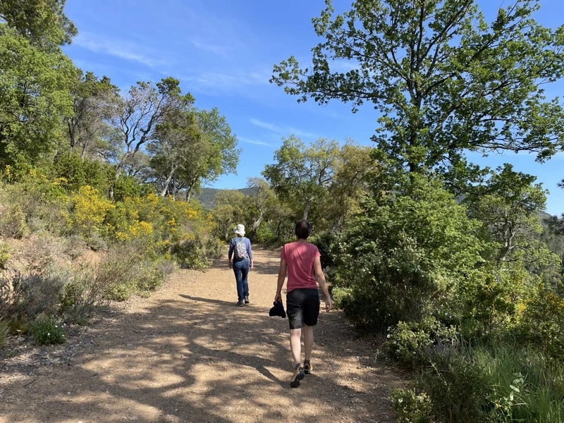 Les Adrets-de-l'Estérel